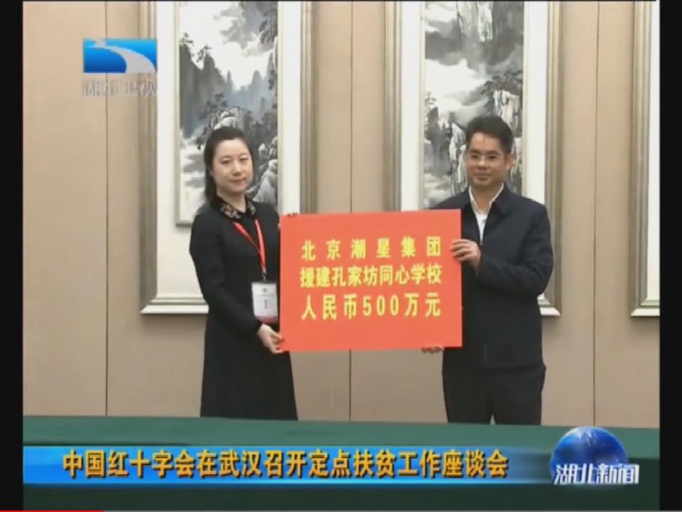 中国红十字会在武汉召开定点扶贫工作座谈会